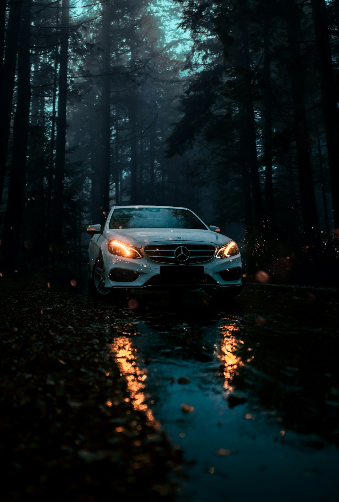 white car on road in between trees during night time