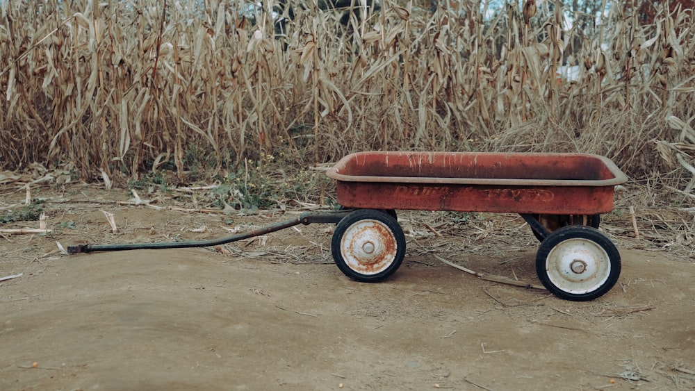 carrello rosso e nero su terra marrone