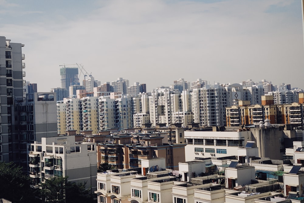 white and brown concrete buildings during daytime