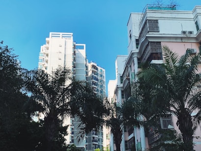 Tall residential buildings stand amidst several palm trees, with a bright blue sky overhead. The buildings have multiple stories and balconies, showcasing modern urban architecture. The palm trees add a contrasting natural element to the urban setting.