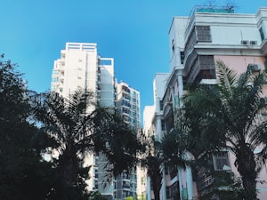 Tall residential buildings stand amidst several palm trees, with a bright blue sky overhead. The buildings have multiple stories and balconies, showcasing modern urban architecture. The palm trees add a contrasting natural element to the urban setting.