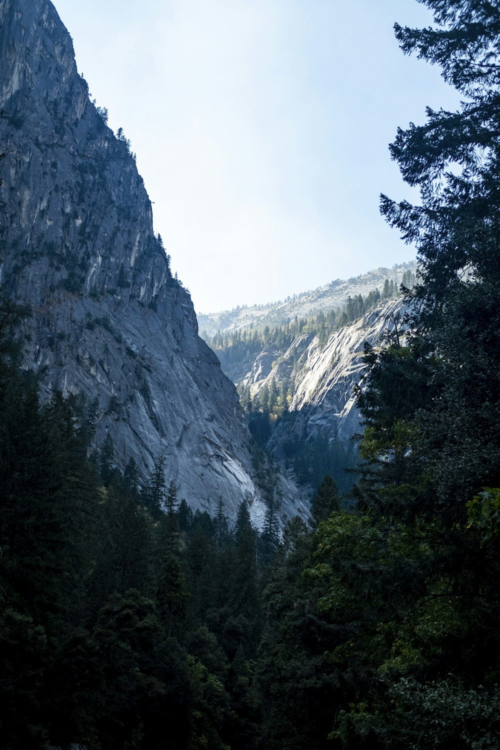 green trees near mountain during daytime