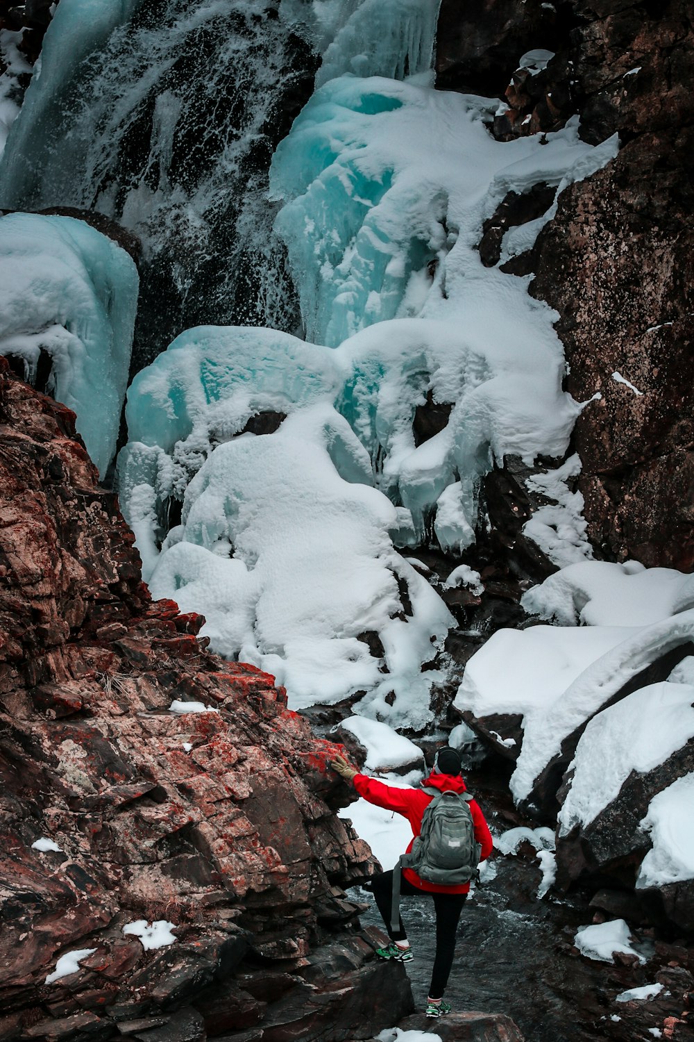 snow covered rocks and trees