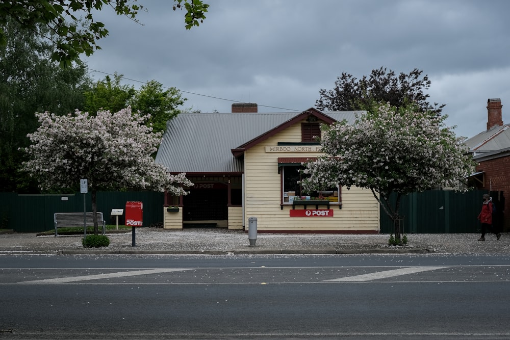 green tree in front of brown and white building