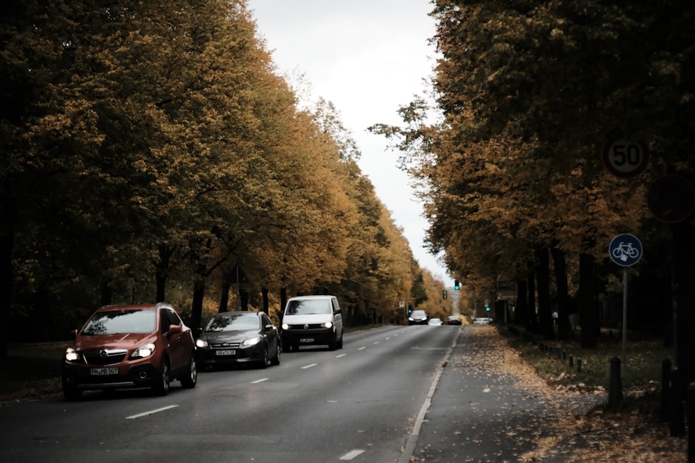 cars parked on the side of the road during daytime