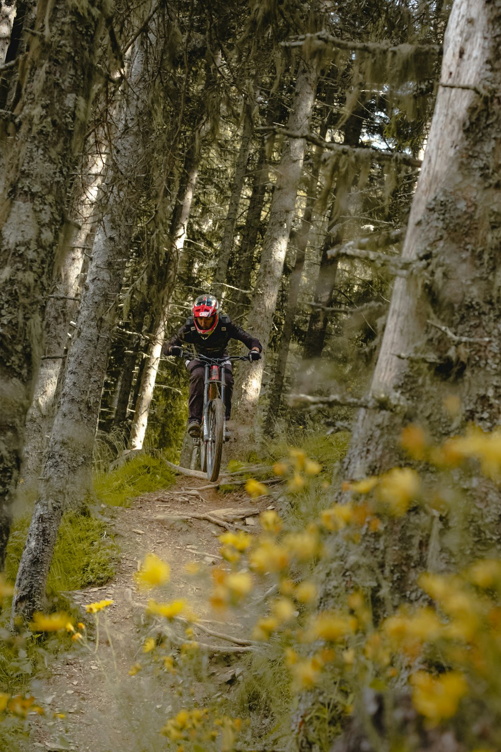 man in red and black jacket riding bicycle in forest during daytime