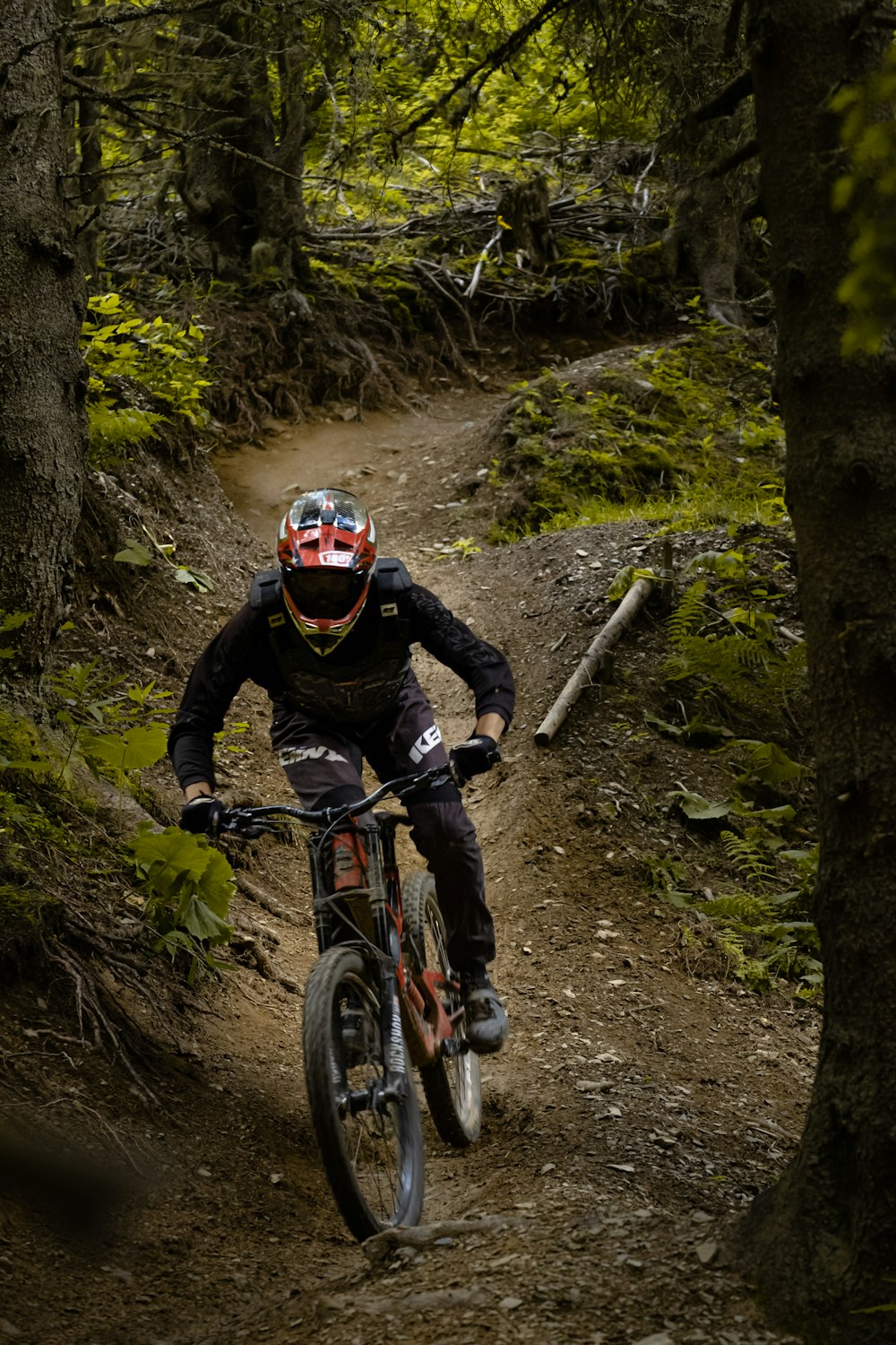 man in black jacket riding red and white mountain bike