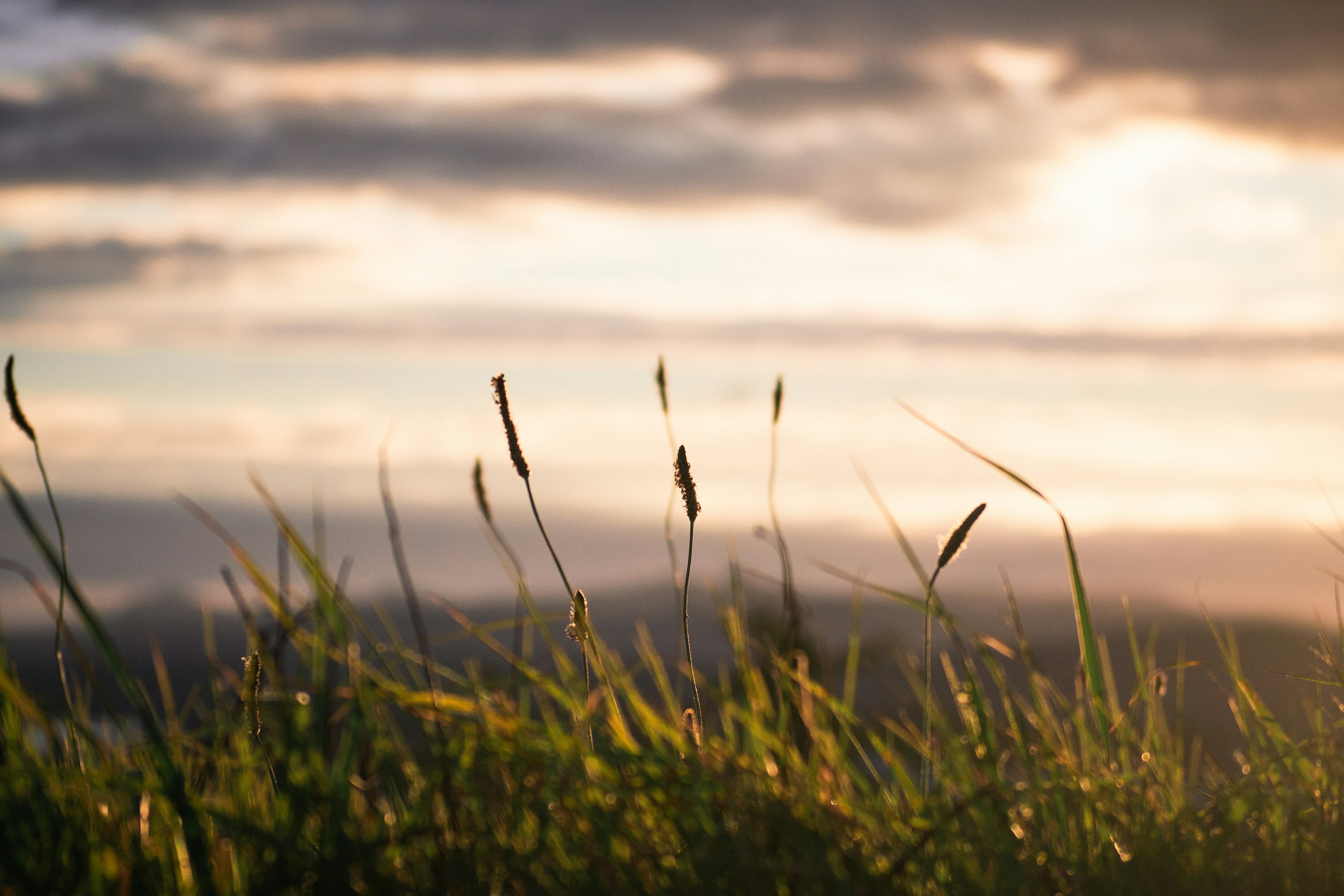 Photo by peterluo0113