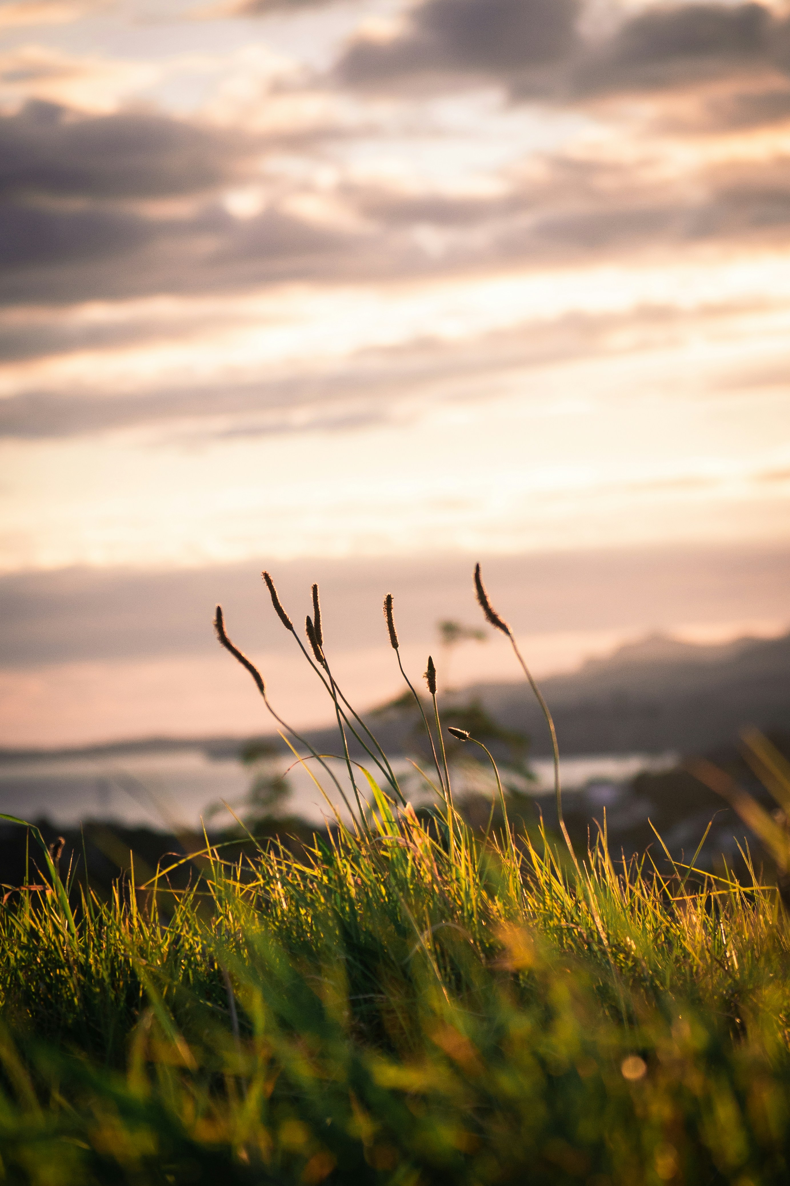 Photo by peterluo0113