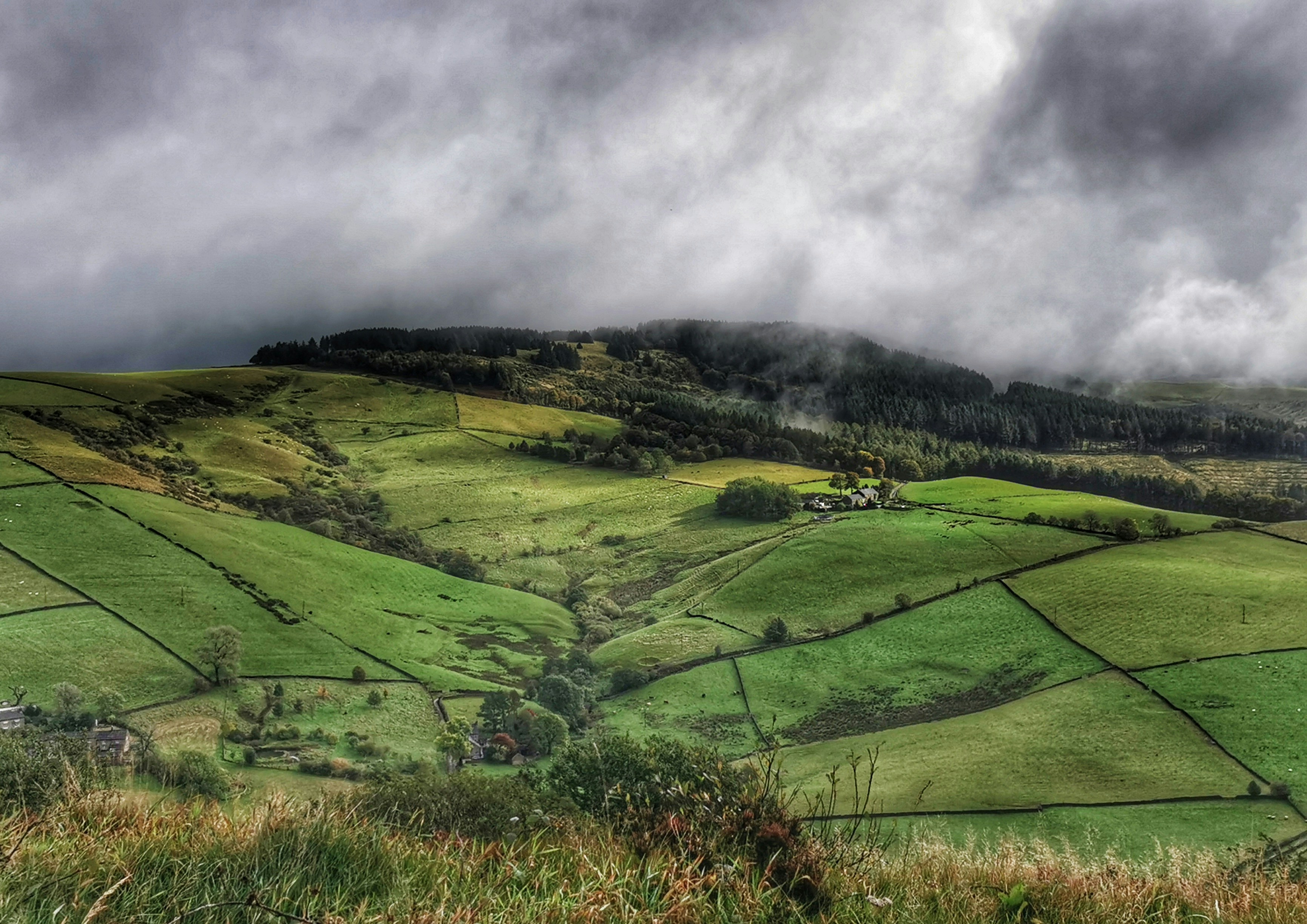 Photo by kristy18photography