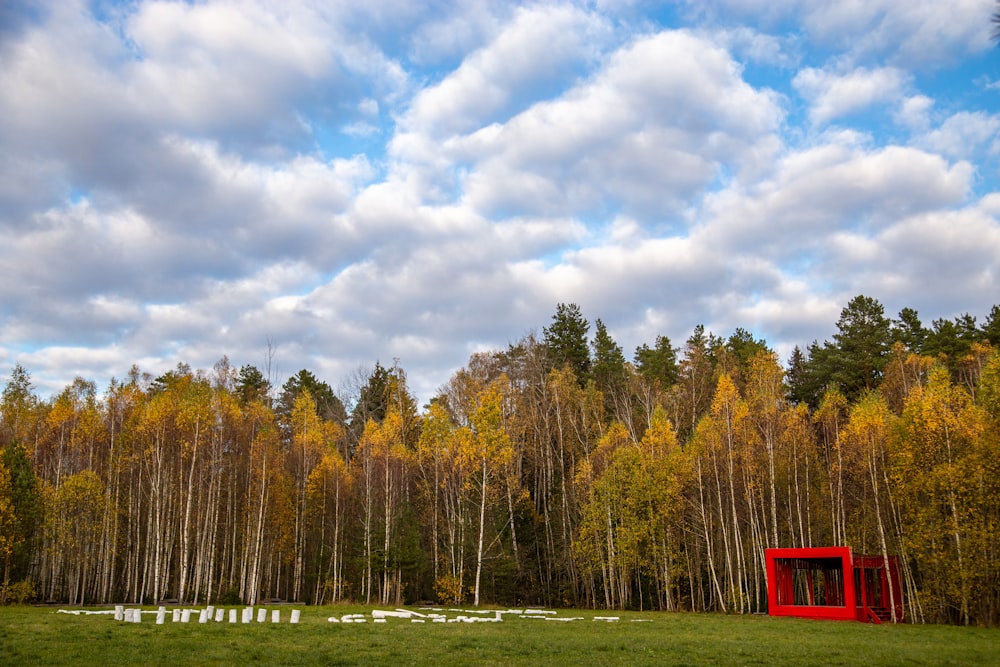 green and yellow trees under white clouds and blue sky during daytime