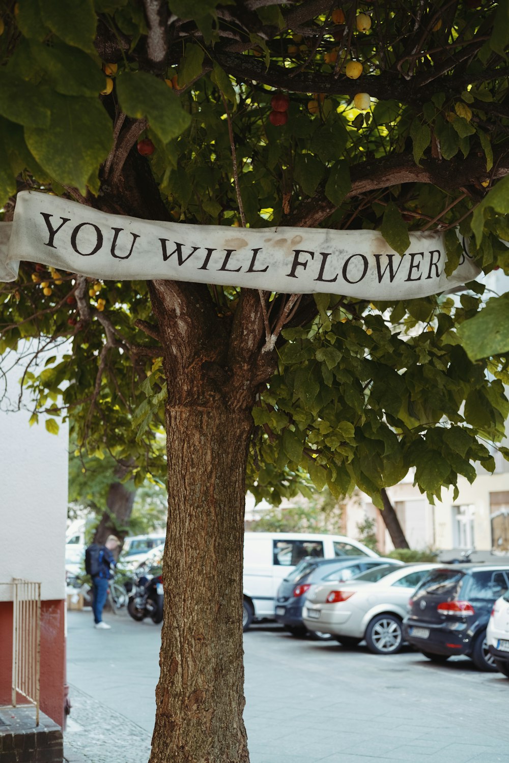 Ein Schild, das besagt, dass Sie auf einem Baum blühen werden