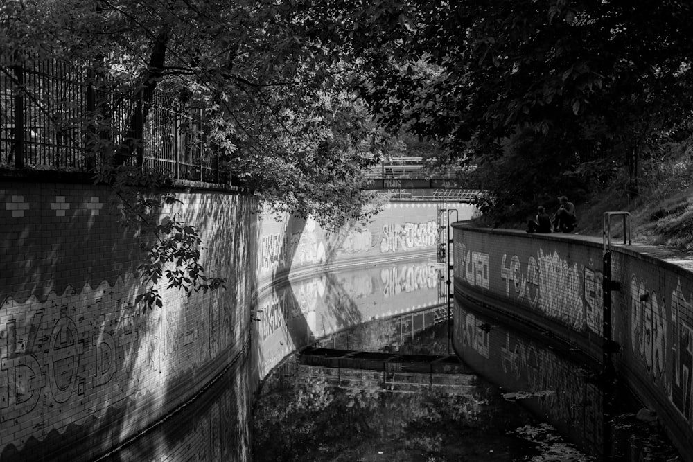 grayscale photo of tree near wall