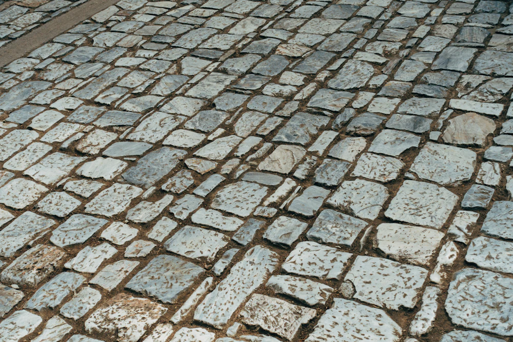 Interlocking Paver Blocks — 1