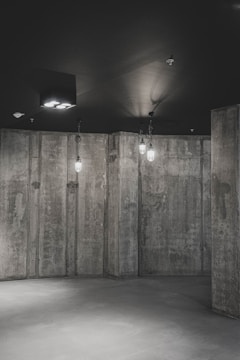 Interior shot highlighting exposed concrete walls and minimalist design.