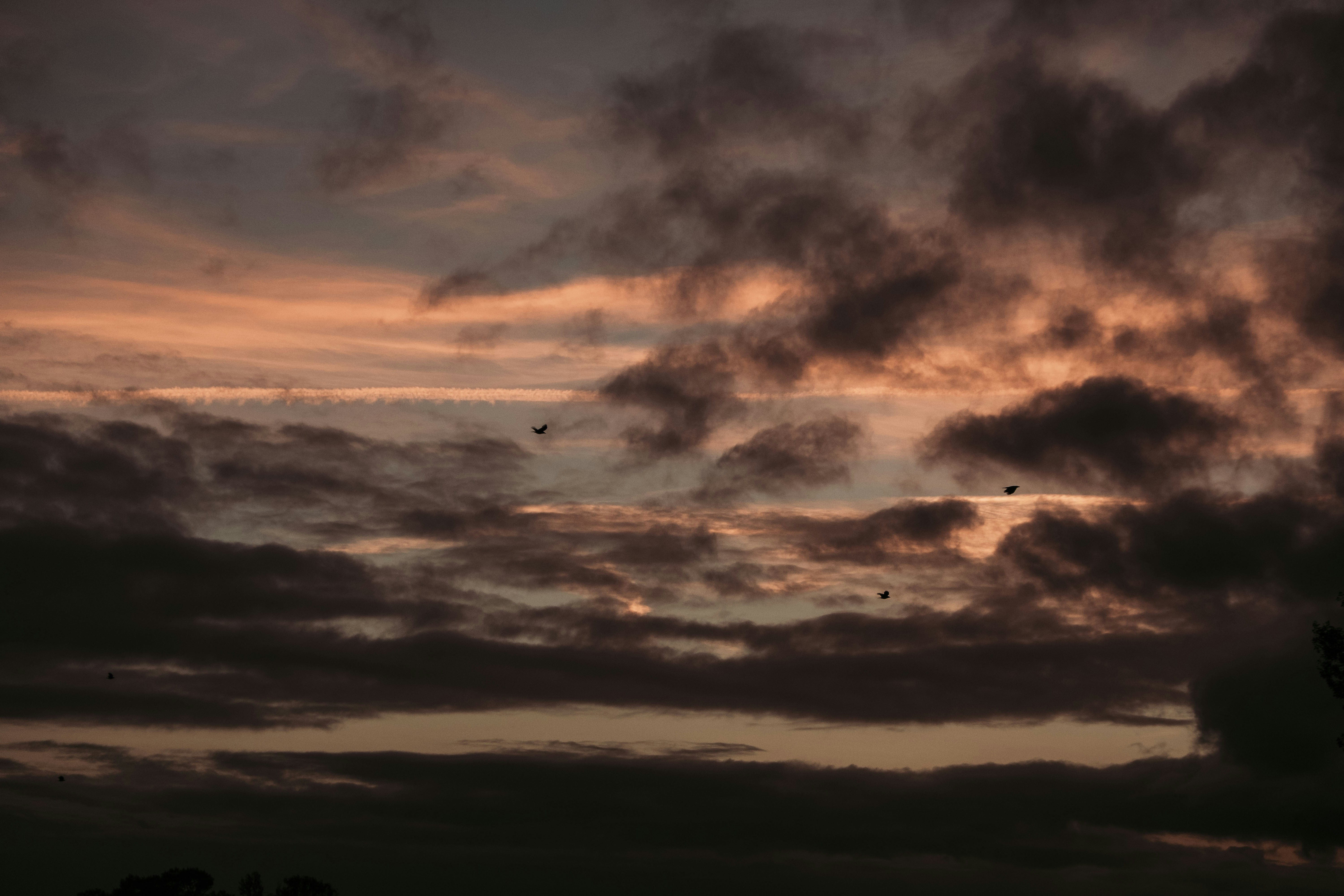 Photo by moritz_photography