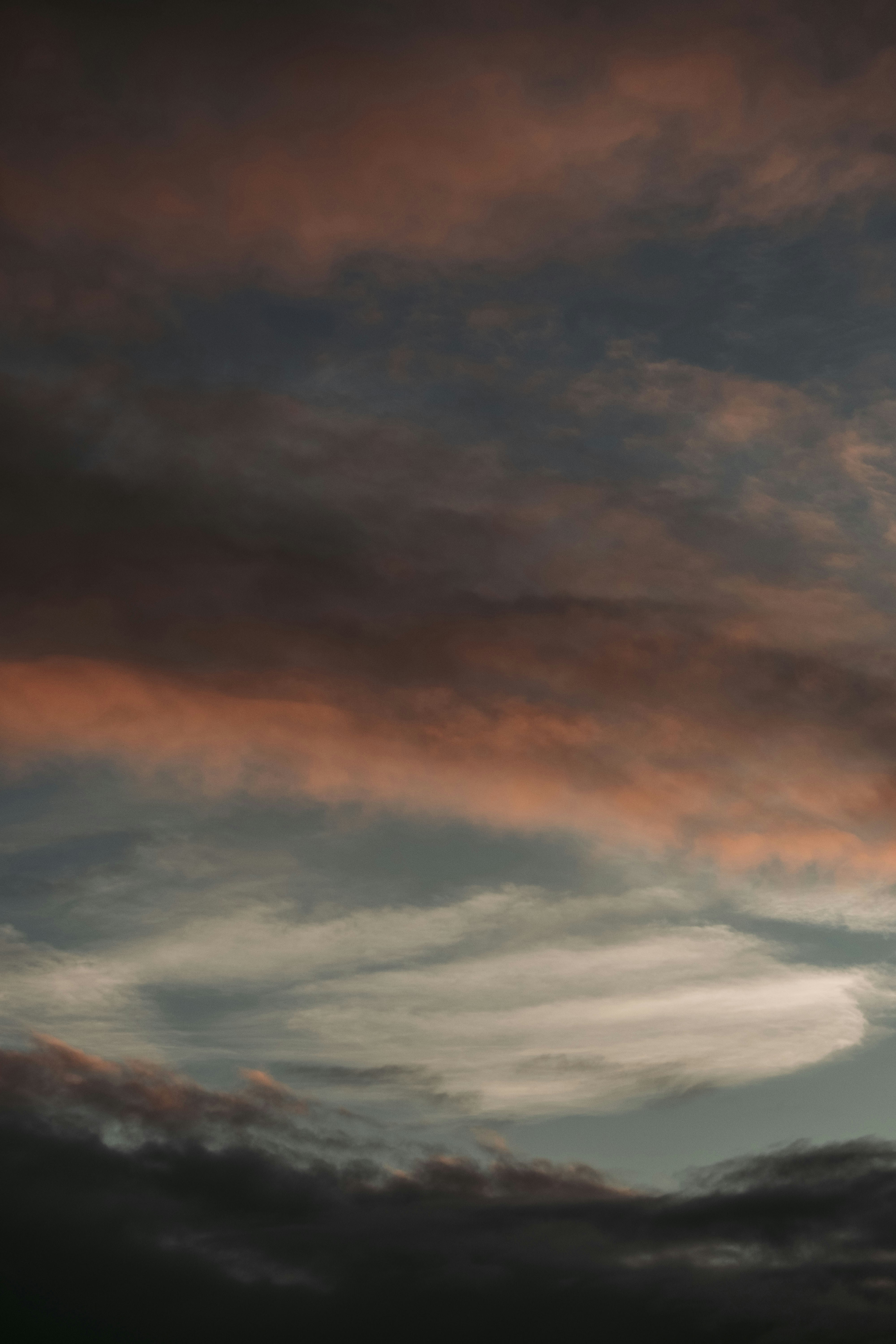 Photo by moritz_photography