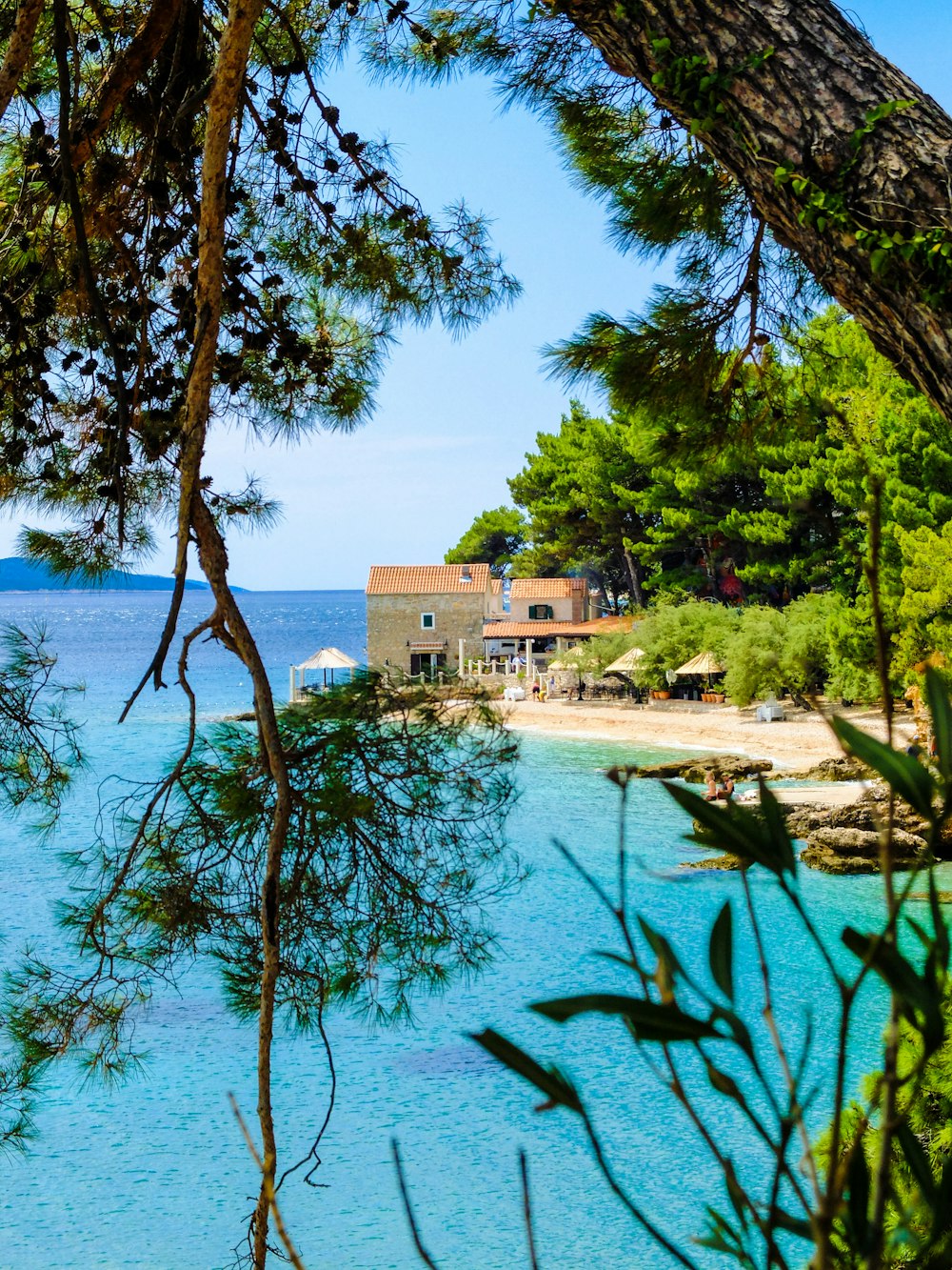 brown concrete building near green trees and body of water during daytime