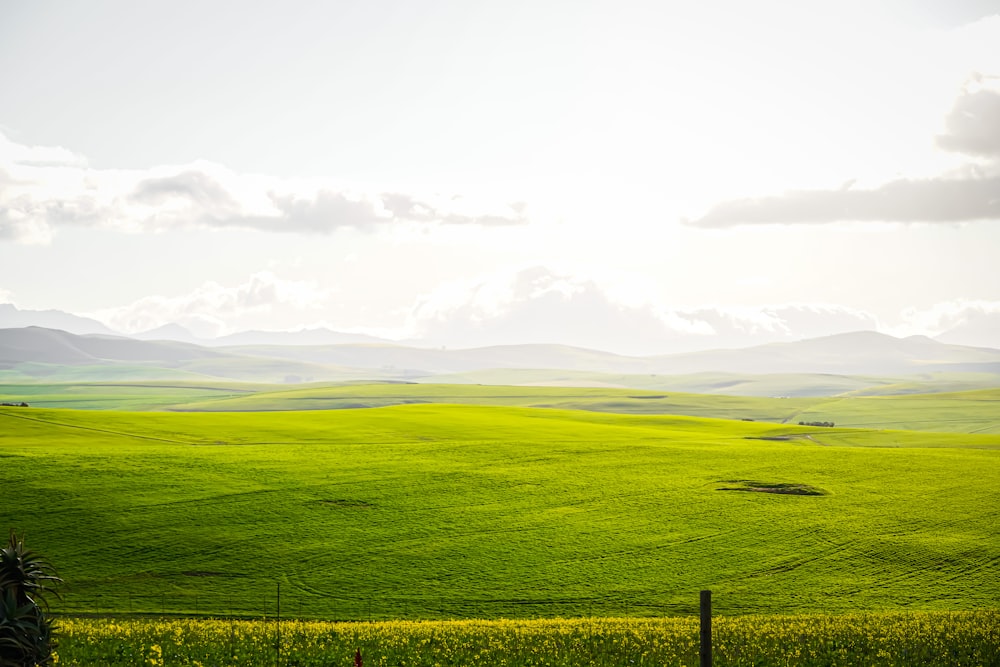 green grass field under white clouds during daytime