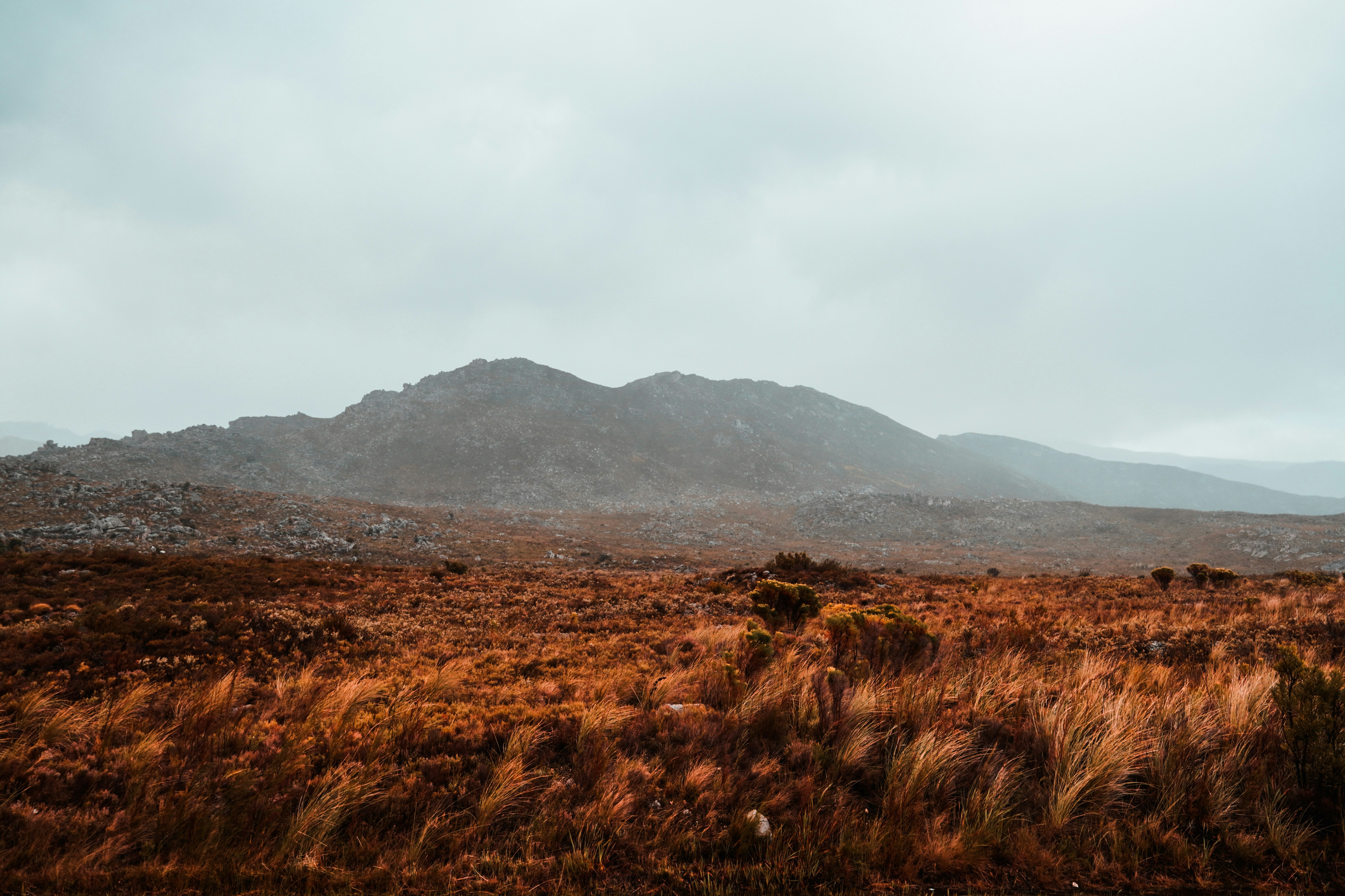 Photo by huntleytography