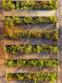 Photo 1603624321535 D044df87f7ad?q=85&w=275&h=275&fit=crop