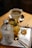 A tray holds a glass of orange slices and mint leaves mixed with ice, a small bottle of water, a glass shot with amber liquid likely tea or syrup, and a gold spoon. In the background, there is a cup of coffee sitting on a saucer, all placed on a wooden surface.