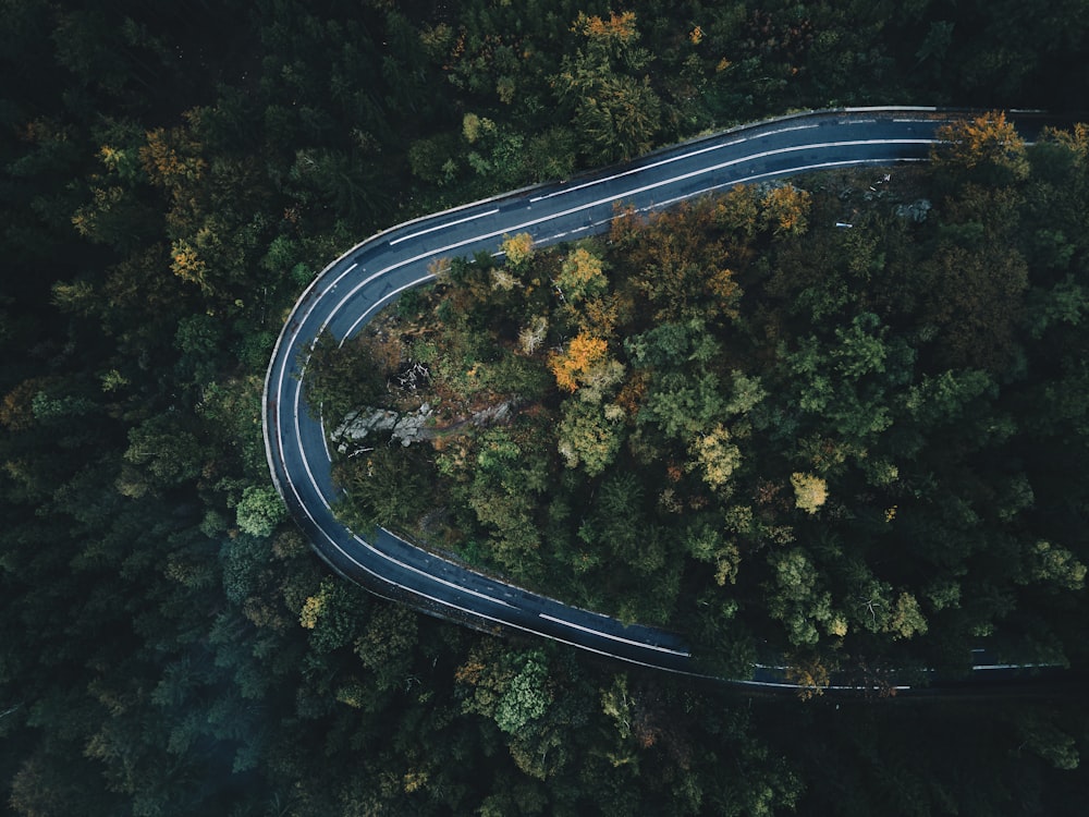 aerial view of road in between trees