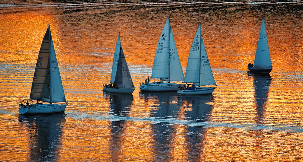 Weißes Segelboot auf dem Gewässer bei Sonnenuntergang