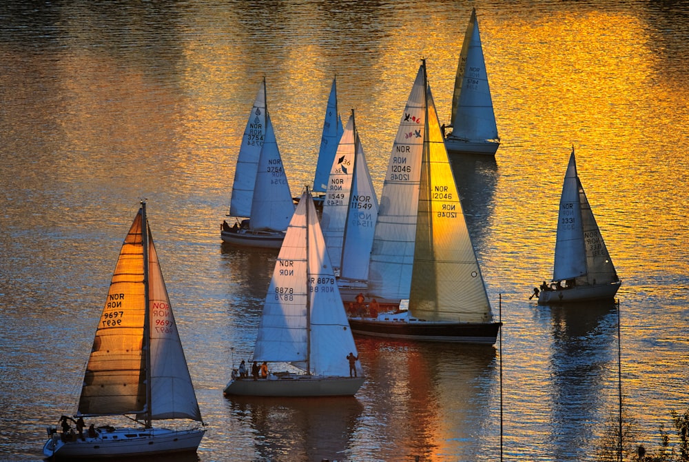 sail boats on body of water during daytime