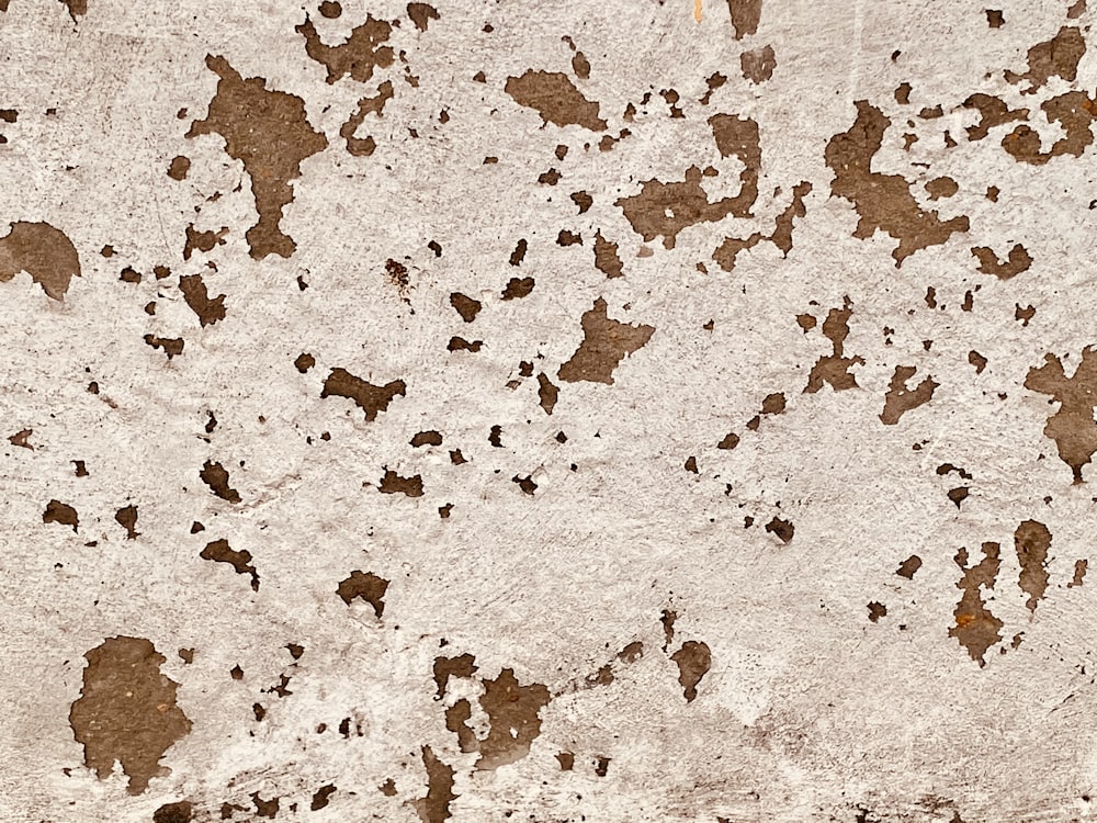 brown and white concrete floor