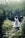 A child dressed in a whimsical costume with wings and a pastel-colored tulle skirt walks along a stone path surrounded by lush greenery and white flowers, bathed in soft sunlight.