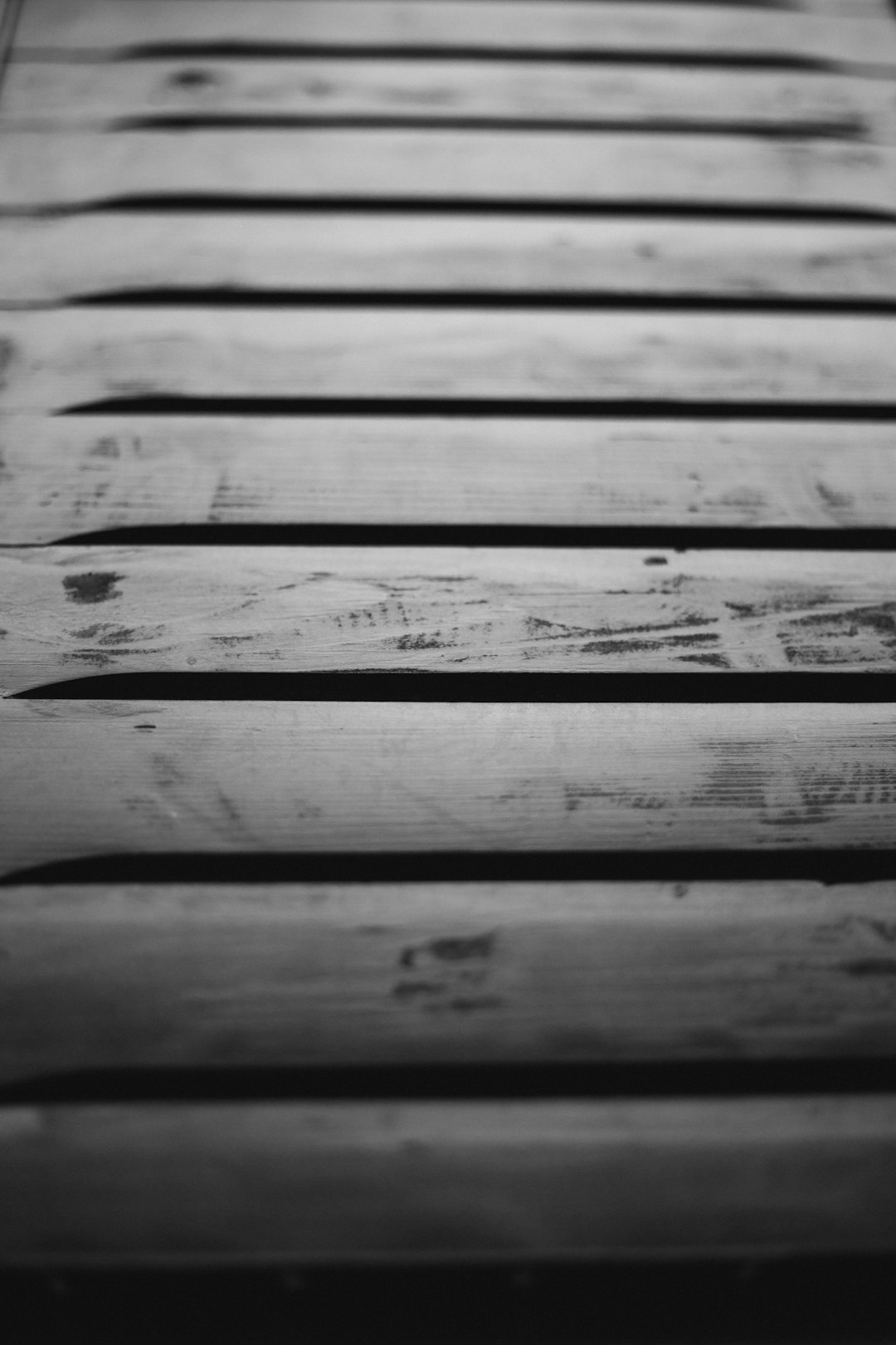 grayscale photo of wooden plank