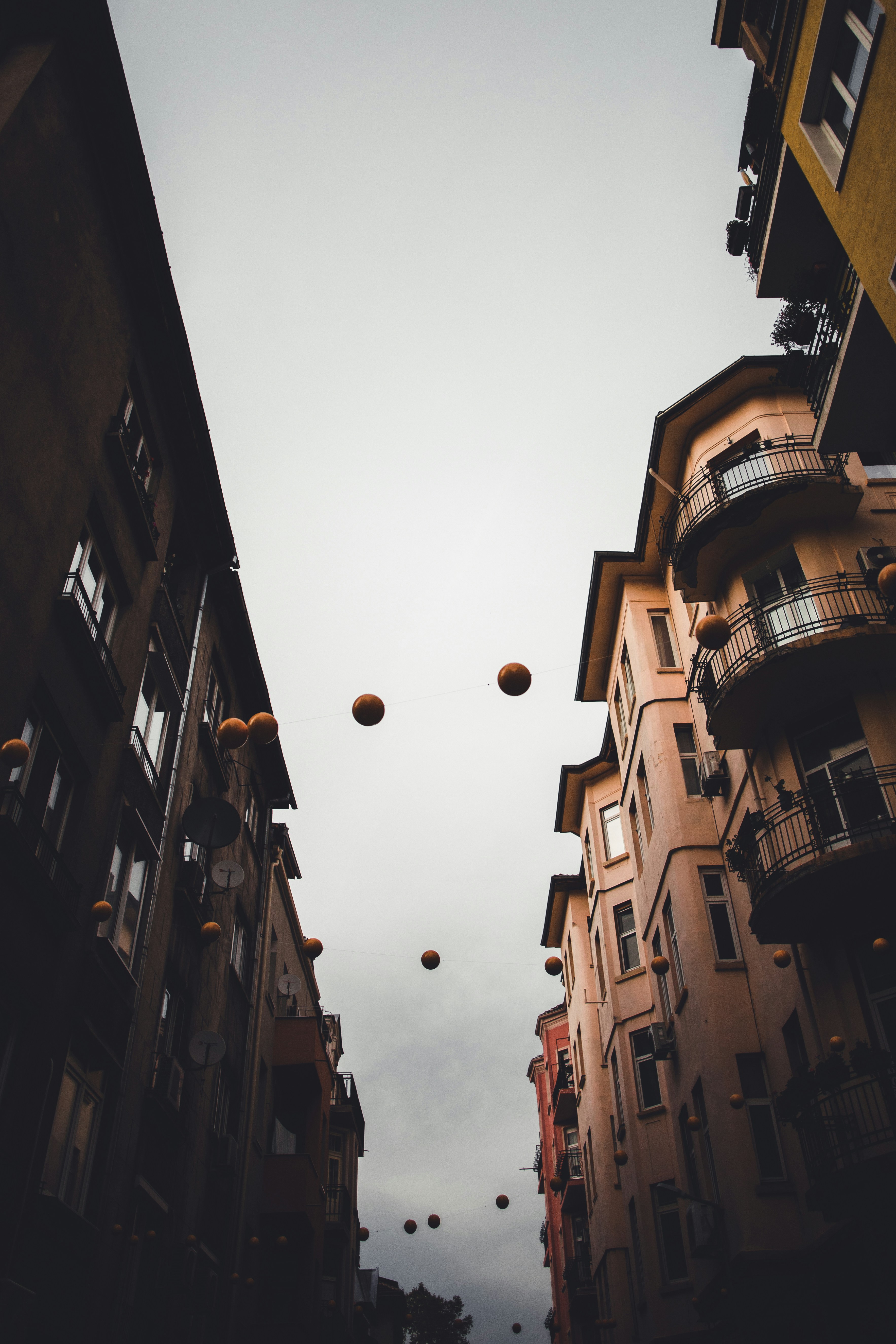 Photo by thewanderinggenk