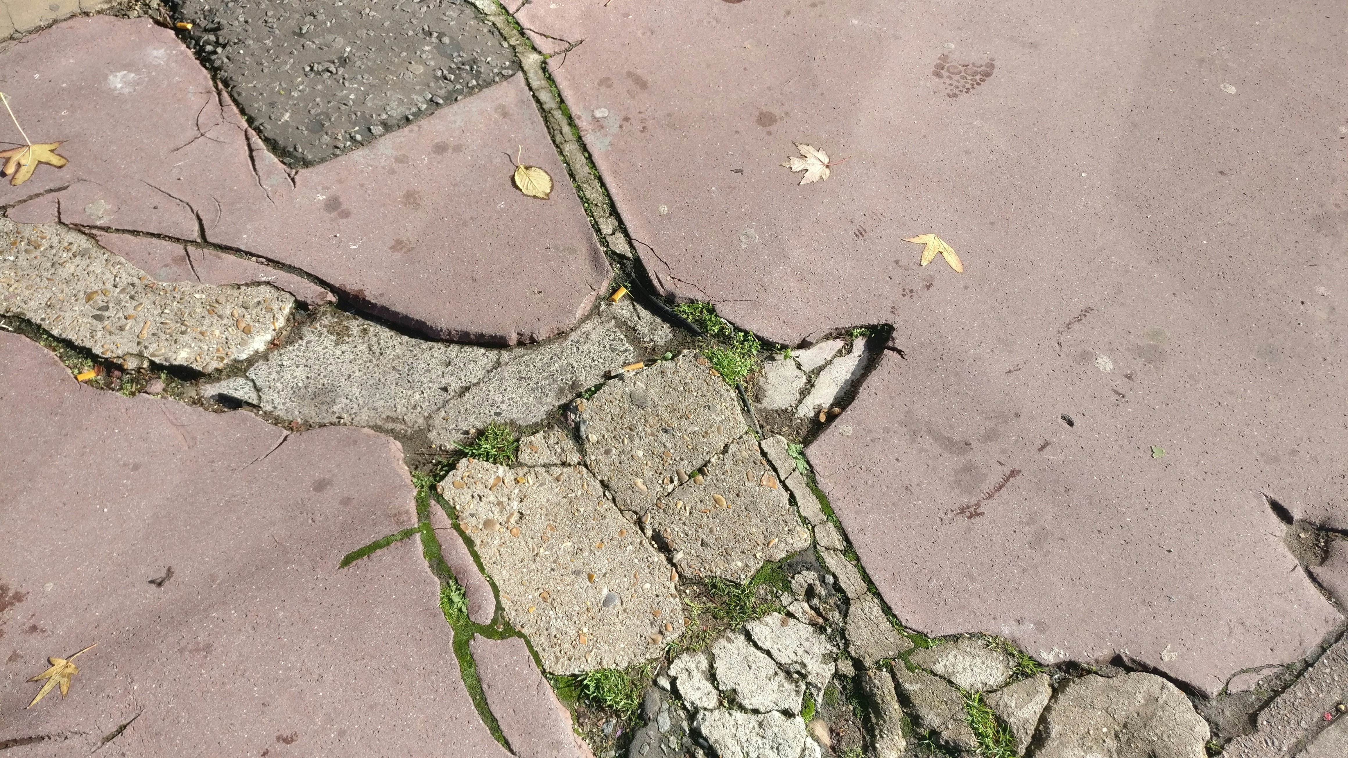 Sidewalk Repair in Portland: Who’s Responsible?