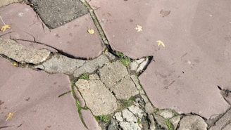 Technician carefully lifting a cracked Citrus County sidewalk with specialized equipment.