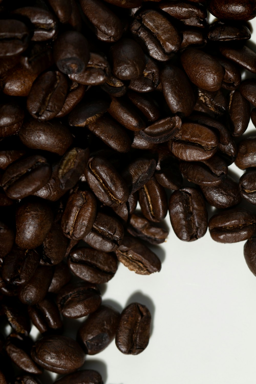 brown coffee beans on white surface