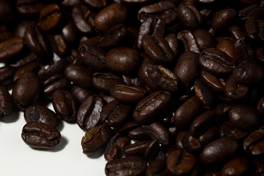 brown coffee beans on white ceramic plate