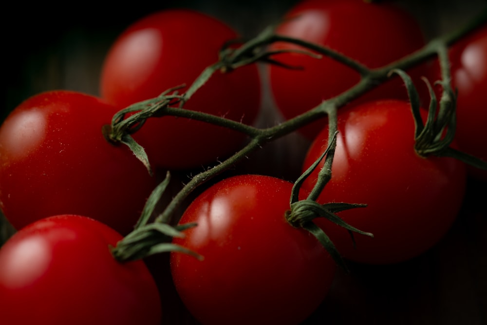 red round fruits in close up photography