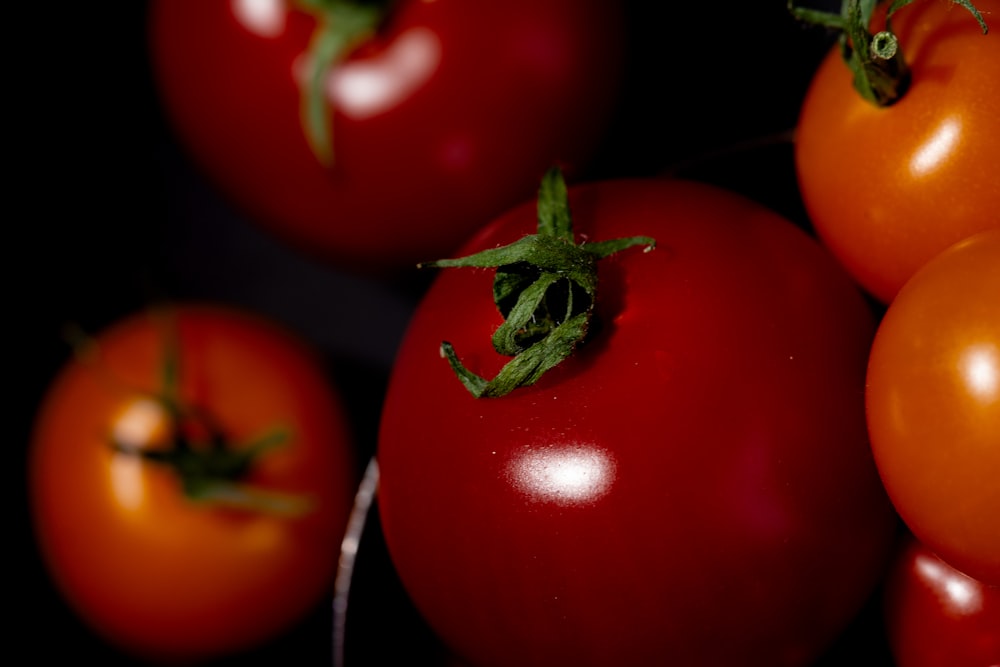red tomato fruit in close up photography
