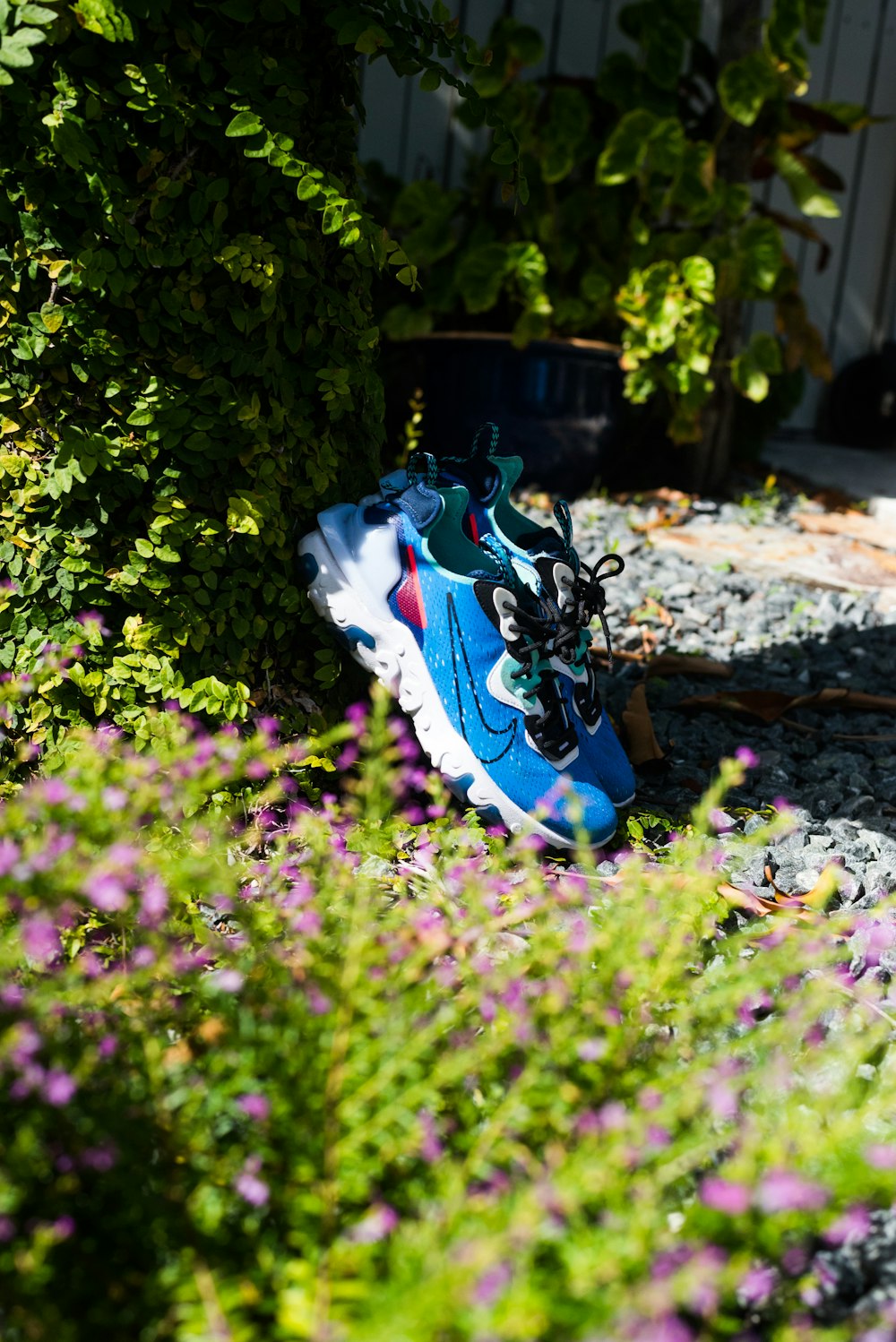 blue and white nike basketball shoes on purple flower field