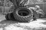 A group of large tractor tires is placed on a grassy area near a wooden fence. Some tires are stacked while others are leaning against a tree. The scene is outdoors, surrounded by foliage and trees nearby.
