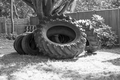 A group of large tractor tires is placed on a grassy area near a wooden fence. Some tires are stacked while others are leaning against a tree. The scene is outdoors, surrounded by foliage and trees nearby.