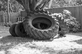 A group of large tractor tires is placed on a grassy area near a wooden fence. Some tires are stacked while others are leaning against a tree. The scene is outdoors, surrounded by foliage and trees nearby.