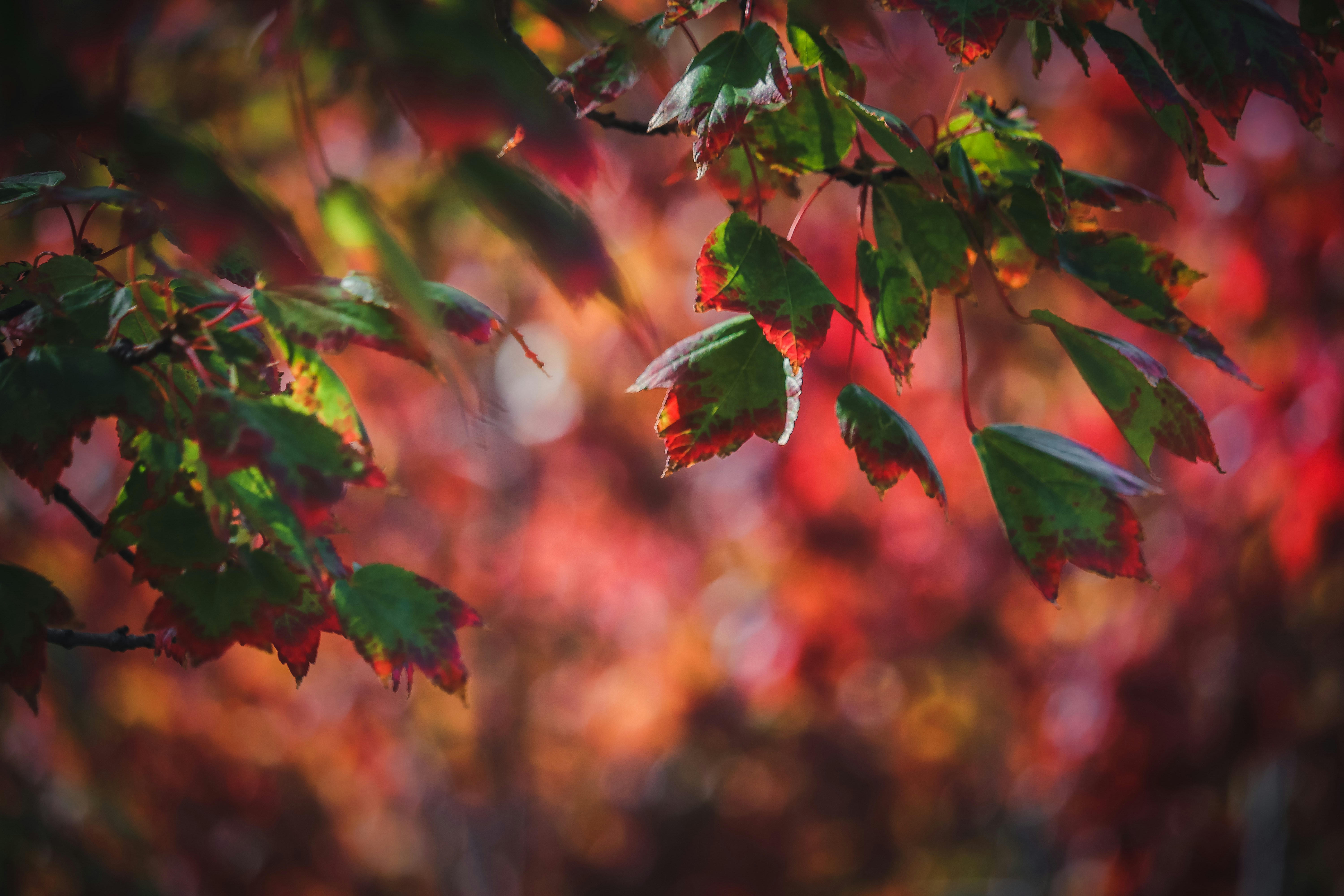 Photo by create4eyes