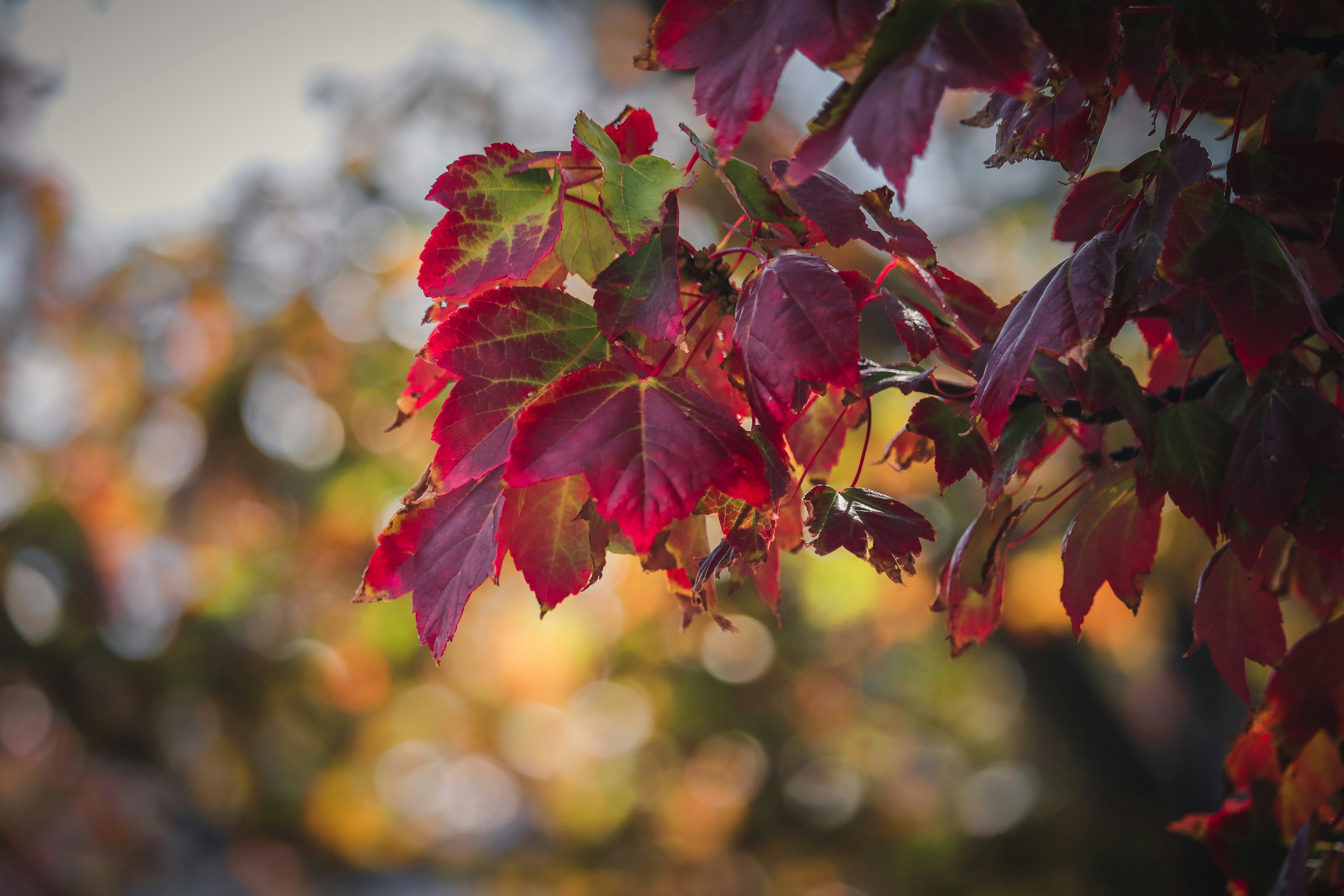 Photo by create4eyes