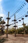 A ropes course with multiple wooden platforms and suspended bridges is set among tall poles. The structures are connected by various types of rope bridges and ladders, creating a challenging adventure course. Birds are flying in the clear blue sky above, and there are lush green trees surrounding the area, providing a natural backdrop. Individuals are seen navigating the high ropes, indicating an outdoor recreational activity.