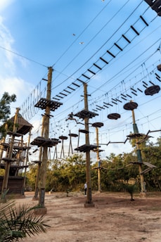A group of thrill-seekers riding a high rope course in a forested adventure park.