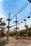 A ropes course with multiple wooden platforms and suspended bridges is set among tall poles. The structures are connected by various types of rope bridges and ladders, creating a challenging adventure course. Birds are flying in the clear blue sky above, and there are lush green trees surrounding the area, providing a natural backdrop. Individuals are seen navigating the high ropes, indicating an outdoor recreational activity.