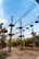 A group of coworkers laughing together while navigating a high ropes course in the woods.