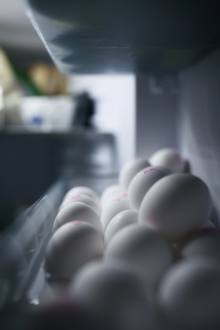 Wide shot of the high-tech storage facility with temperature-controlled egg racks